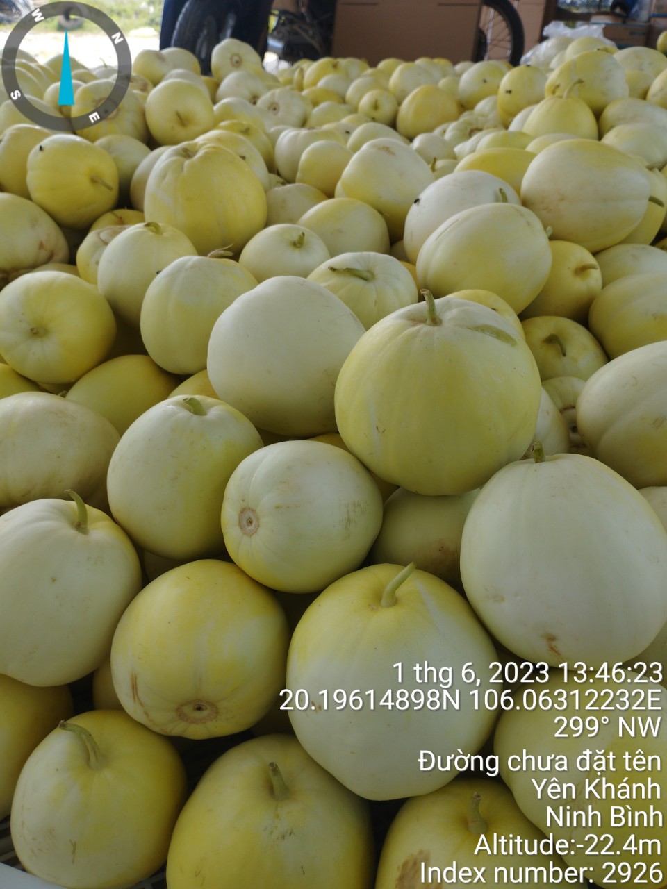HTX nông nghiệp Đông Mai